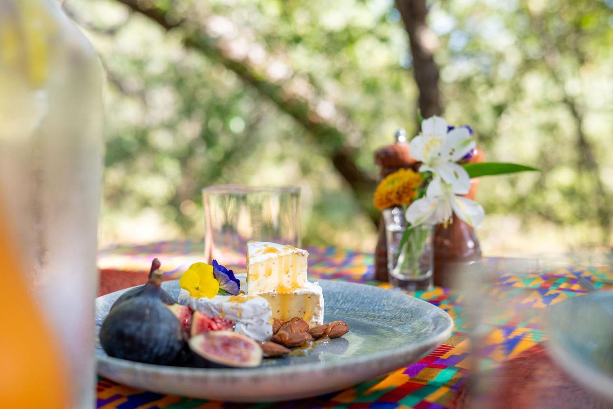 Rafiki Bush Lodge Hoedspruit Εξωτερικό φωτογραφία